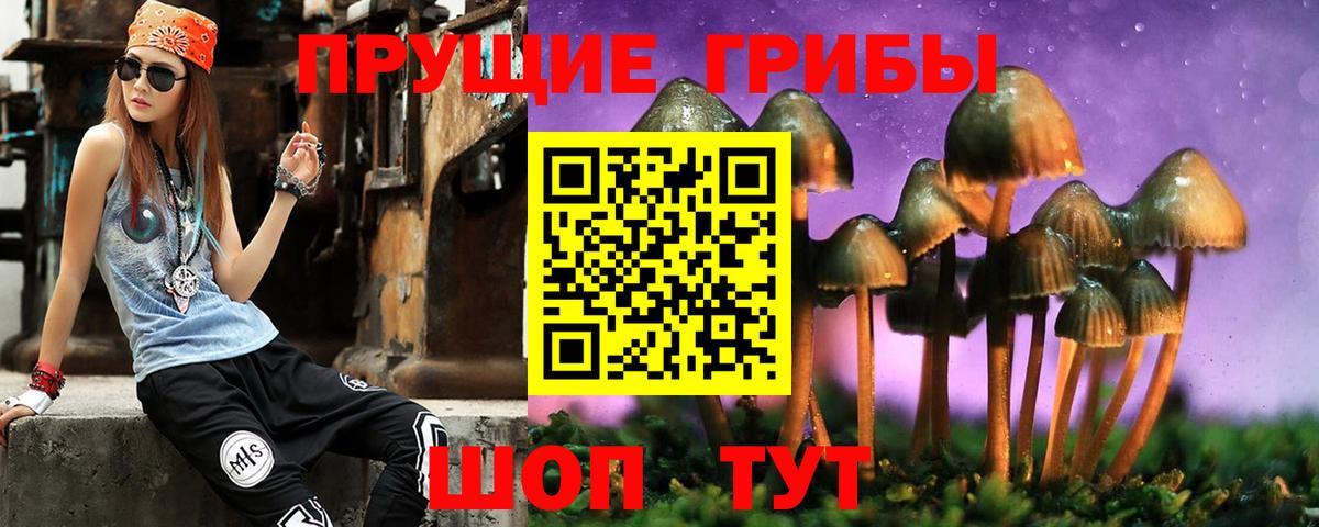 Озёрск  Псилоцибиновые грибы Psilocybe  Псилоцибиновые грибы Psilocybe  Вход с VPN 